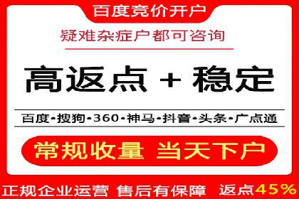 案例研究：百度竞价广告投放效果